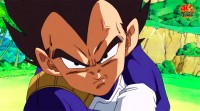 /album/fotogaleria/vegeta-ova-jpg/